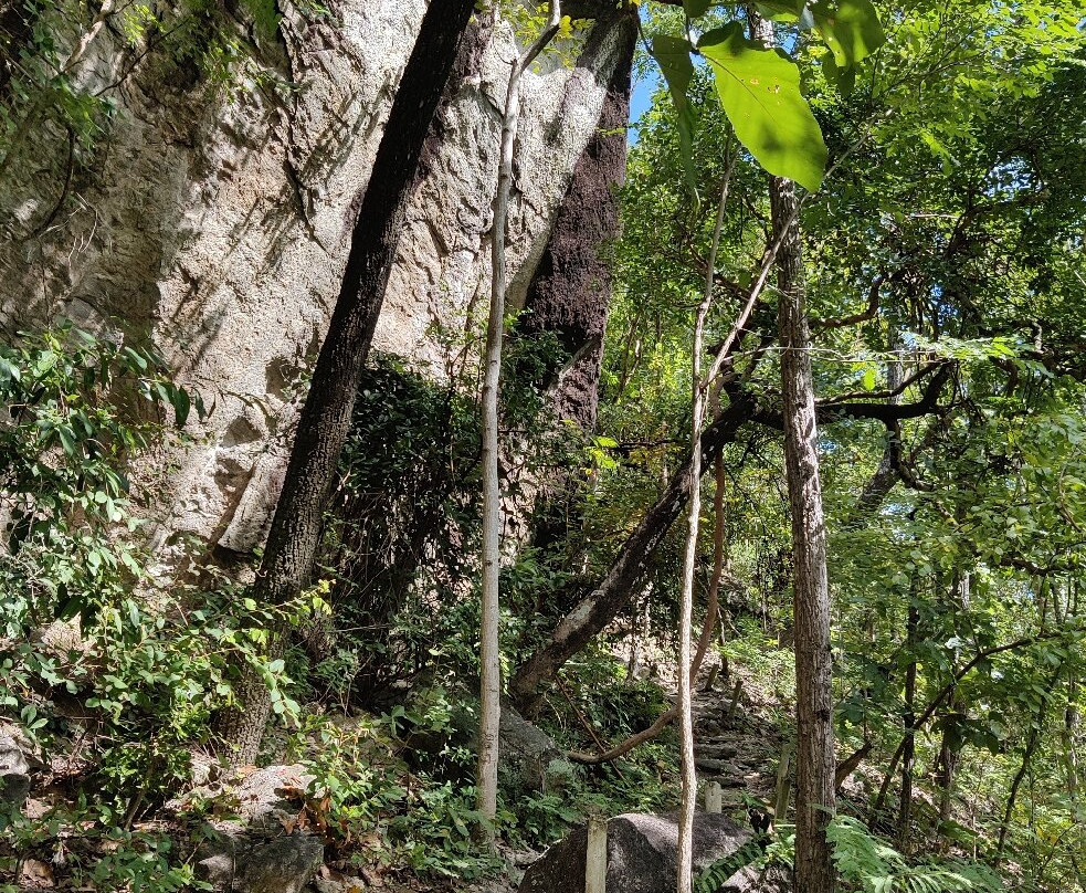 Op Luang National Park景点图片