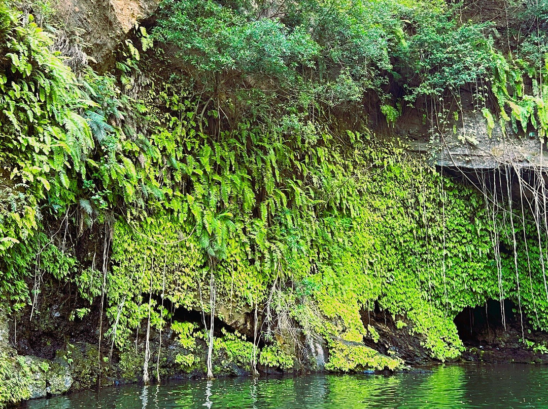 Cascade De Nosy Be景点图片