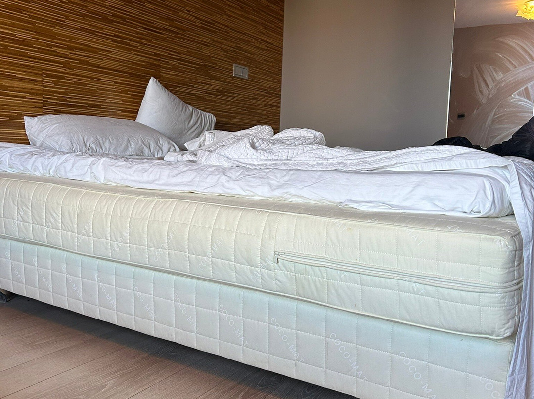 Essence Living Exclusive主图