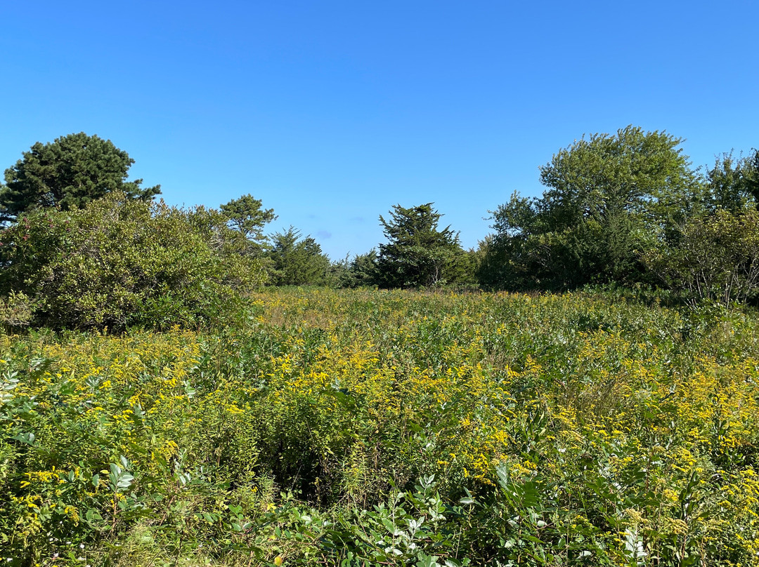 The Broad Meadow Bed & Breakfast主图