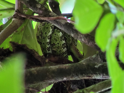 AyE Tours Travel Costa Rica-圣何塞必去景点