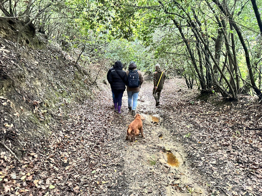 Fattoria del Colle - Agriturismo主图