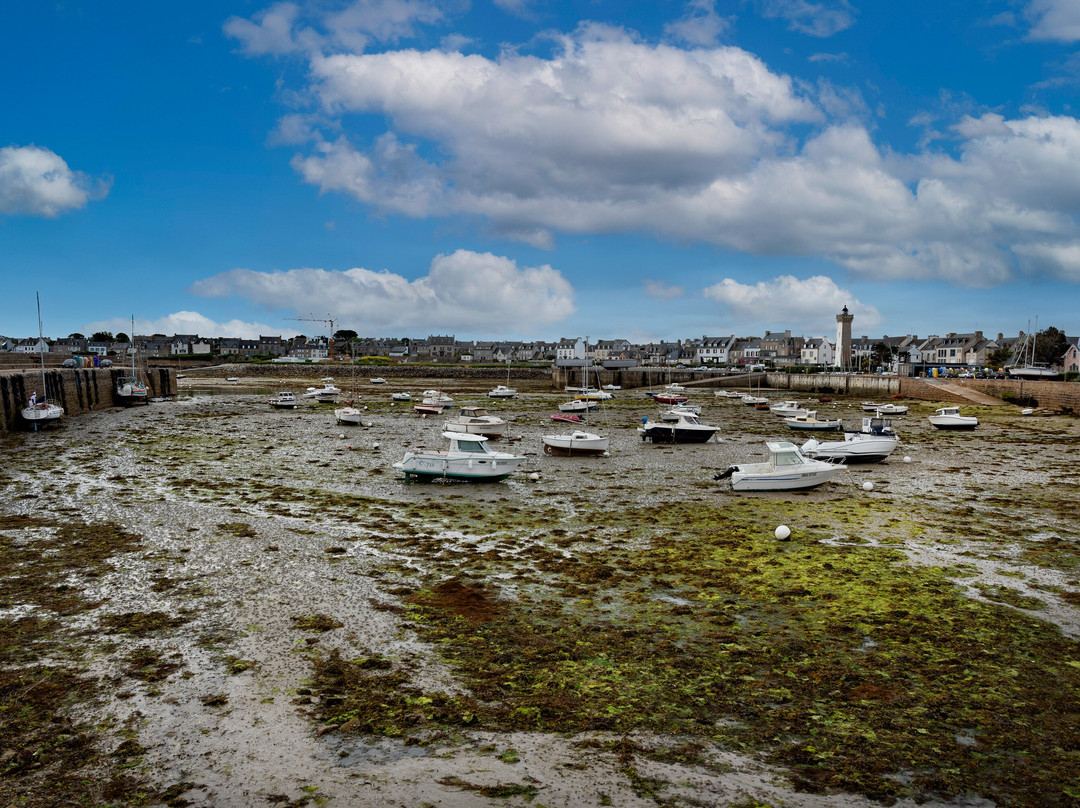 Port de Roscoff景点图片