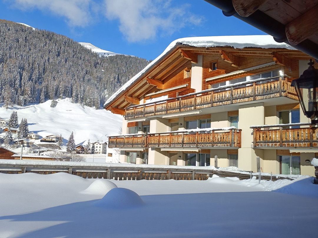 Hotel Alpenhof主图