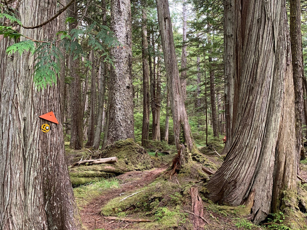Cape Fife Trail-Masset必去景点