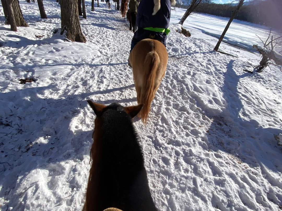 Camel Track-乌兰巴托必去景点
