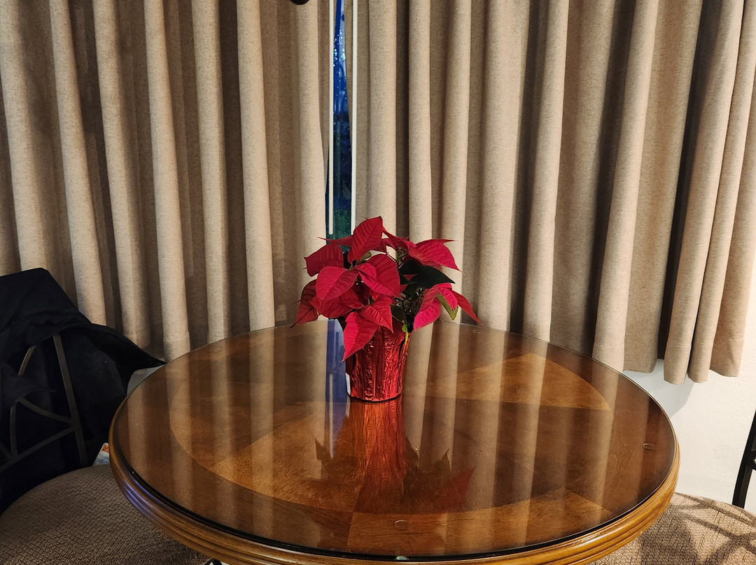 Canterbury Inn主图