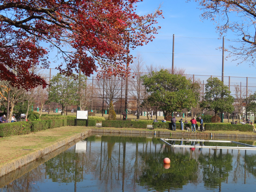 Gyosen Park-江戸川区必去景点
