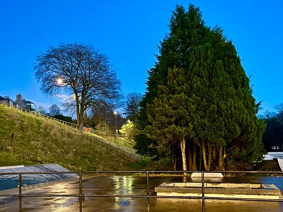 Bellfield Park