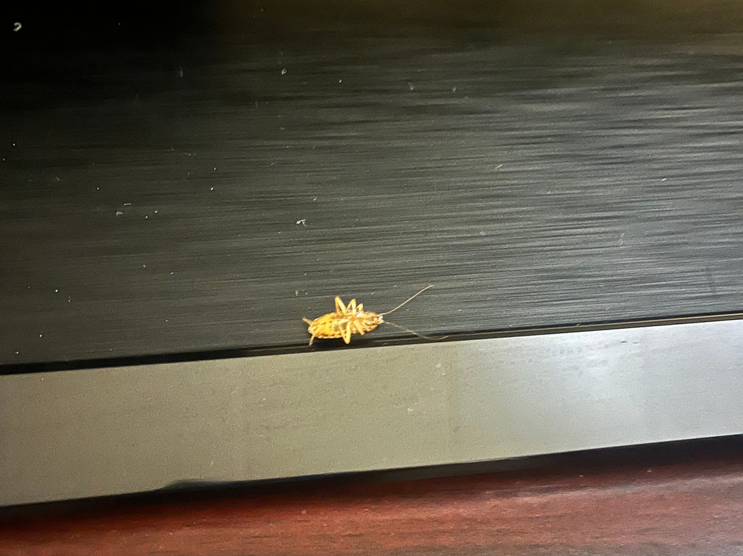 Quality Inn & Suites主图