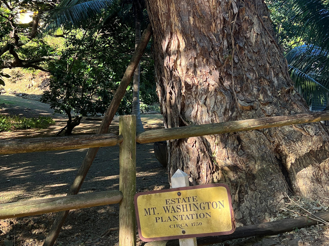 Estate Mount Washington-Frederiksted必去景点