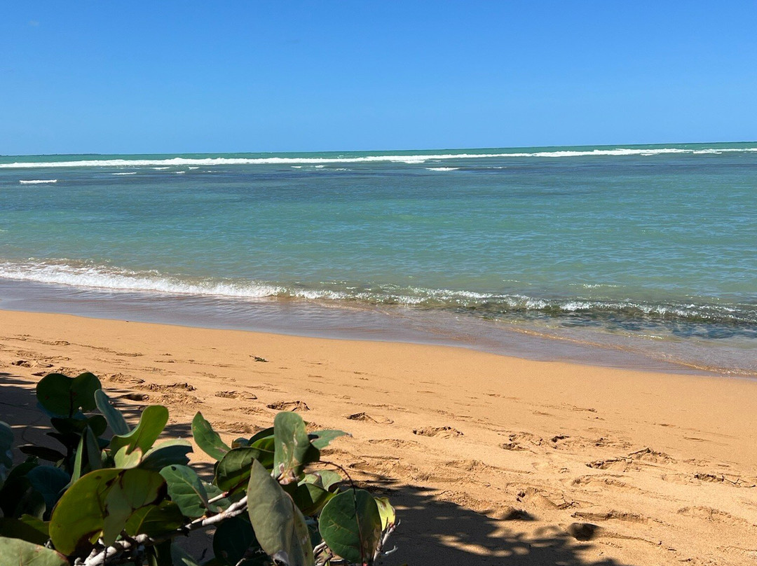 Playa Escondida-法哈多必去景点