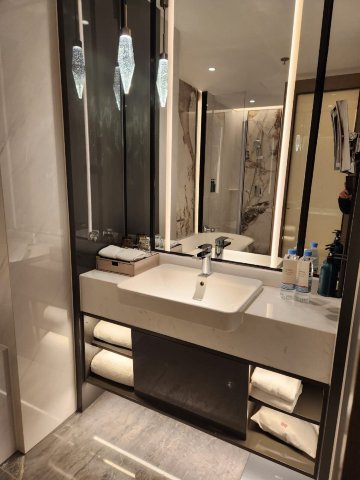 上海南新雅皇冠假日酒店-浴室