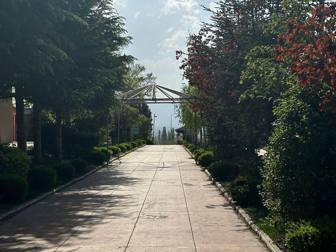 Fimar Life Thermal Resort Hotel主图