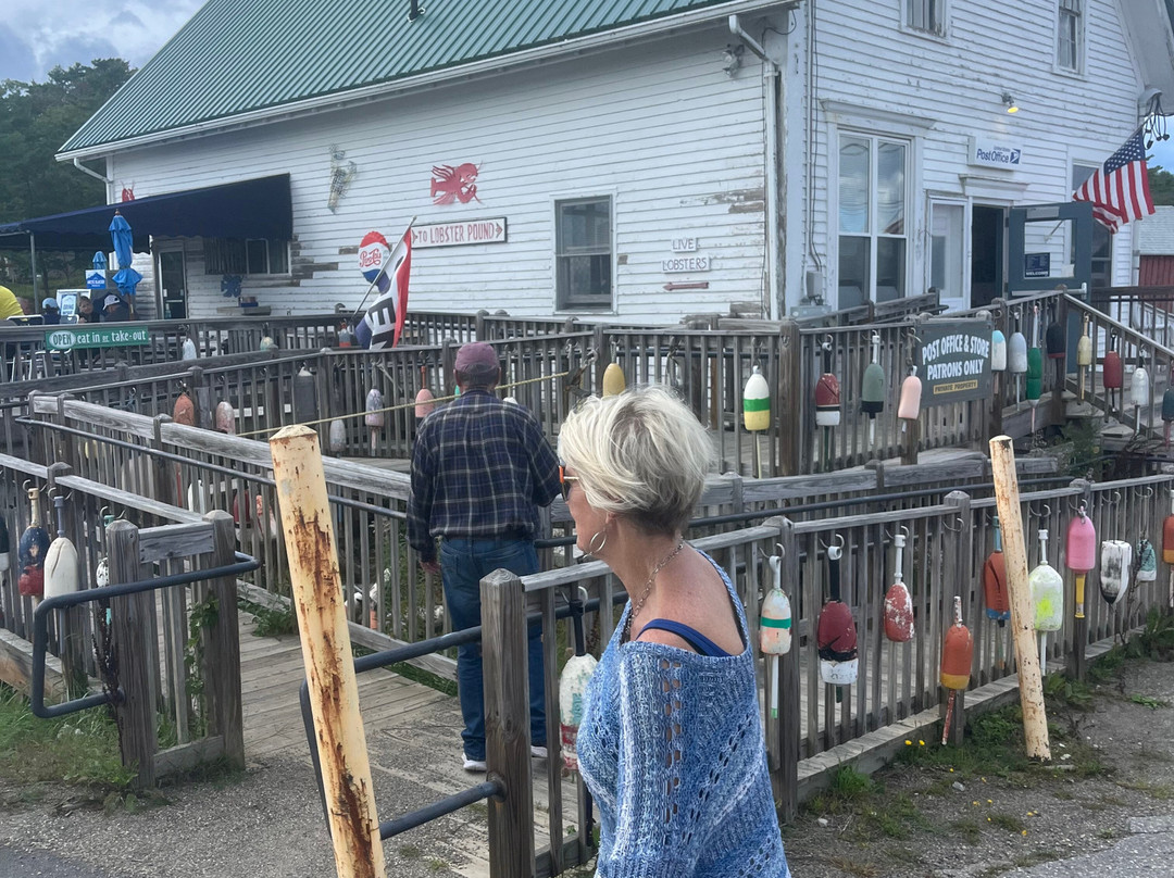 Lady Oyster Tours-巴斯必去景点