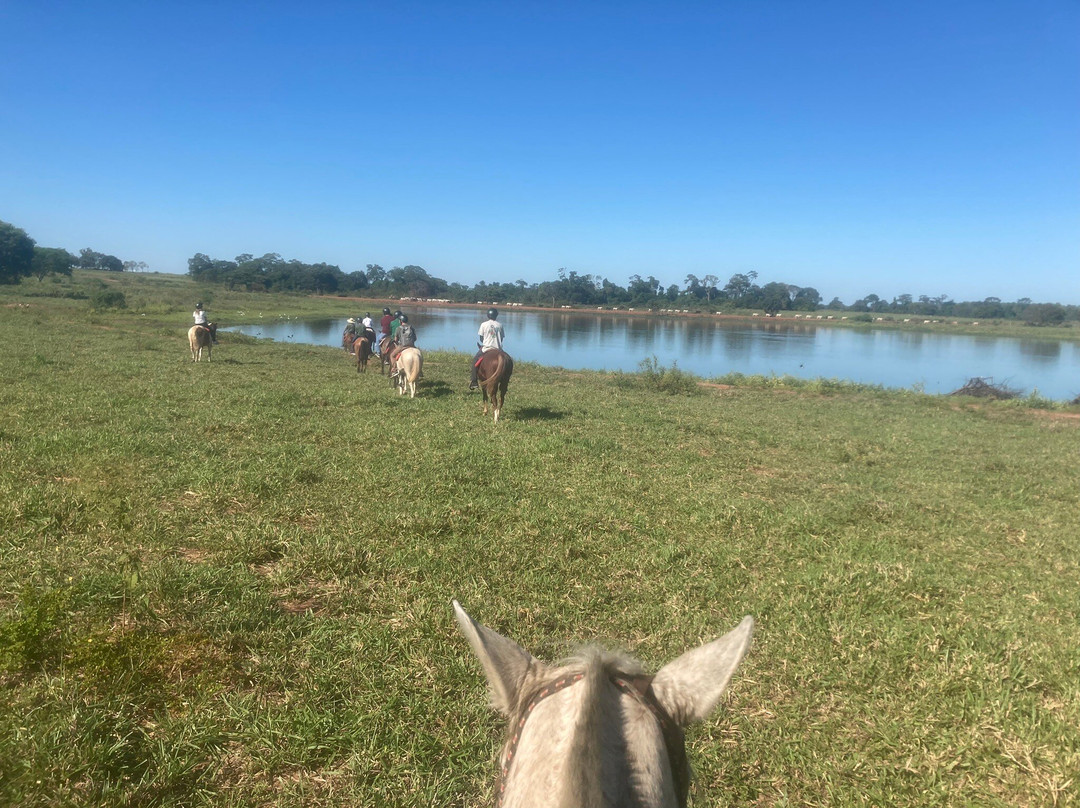 Pantanal Experiência景点图片