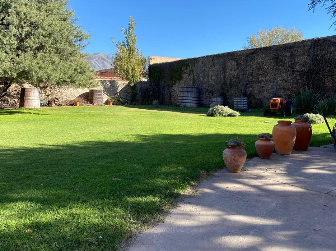 Bodega El Porvenir de Cafayate景点图片