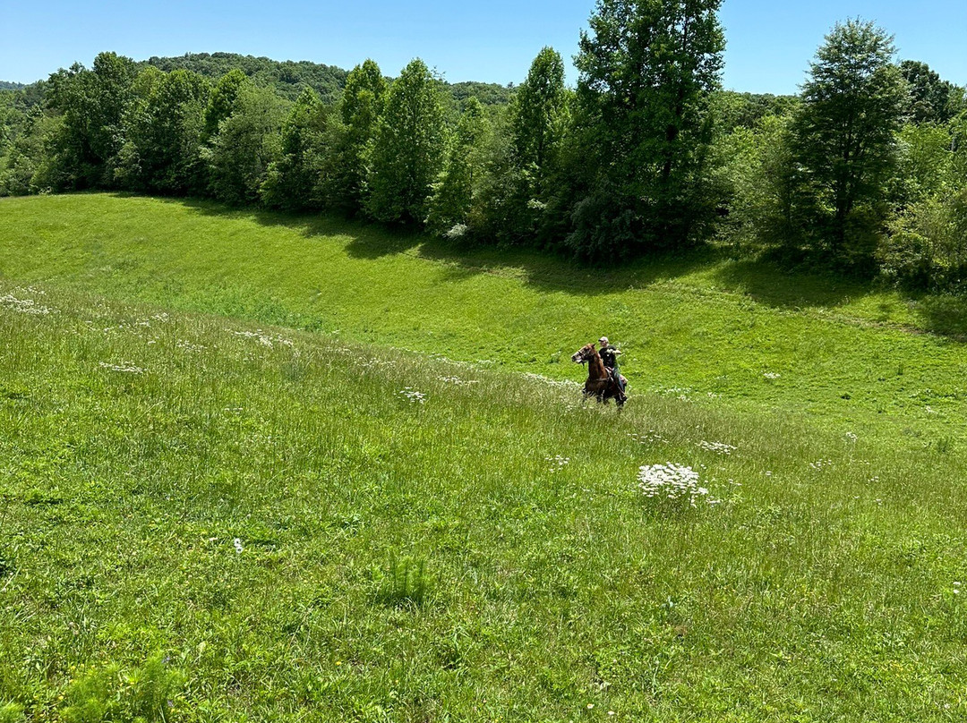 Blue Ridge Mountain Trail Rides At Hells Hollow景点图片