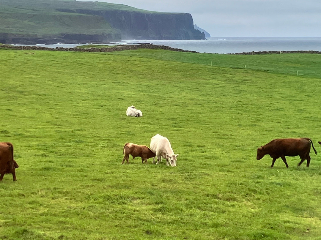 Atlantic View Bed & Breakfast主图