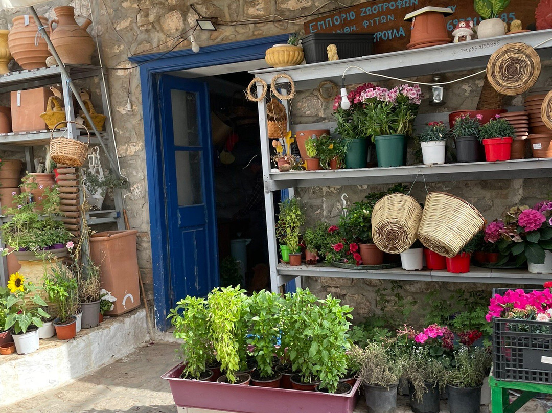 Marialena Maramenou-Hydra Town必去景点