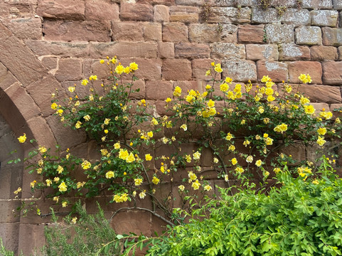 Maxstoke Castle-Harborne必去景点