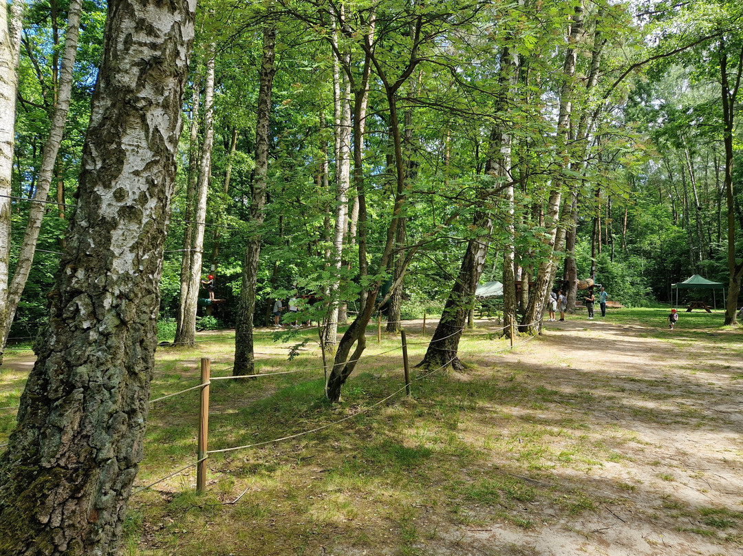 Culture Park in Powsin-华沙必去景点