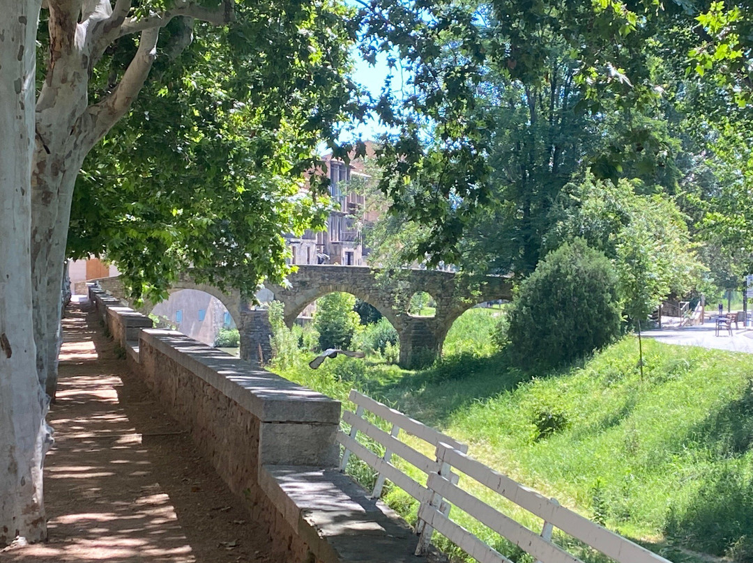 Pont de Queralt-维克必去景点