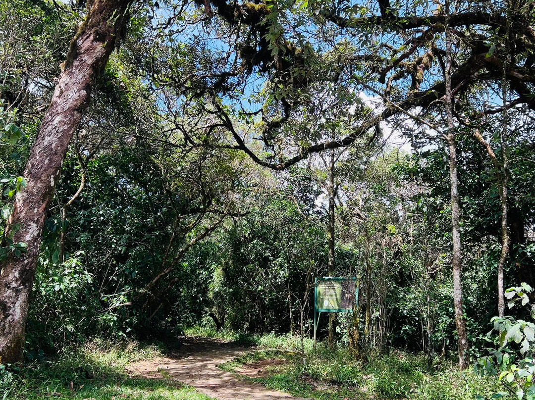 Thotupola Kanda Nature Trail-Ohiya必去景点