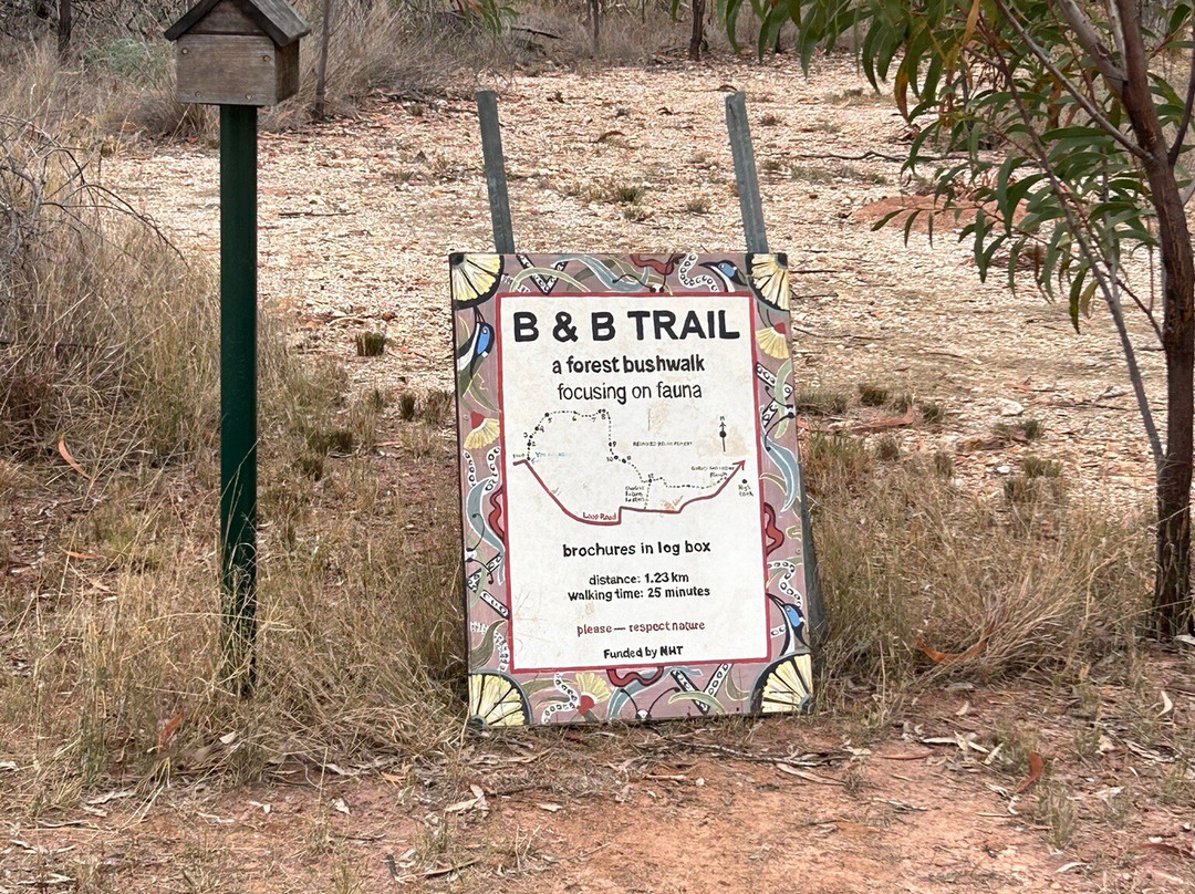 Myall Park Botanic Garden-Glenmorgan必去景点