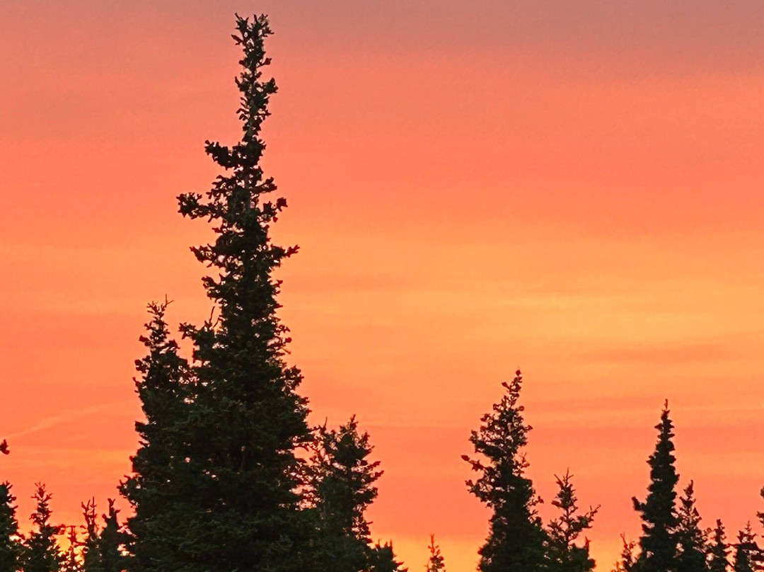 Denali Park Hotel主图