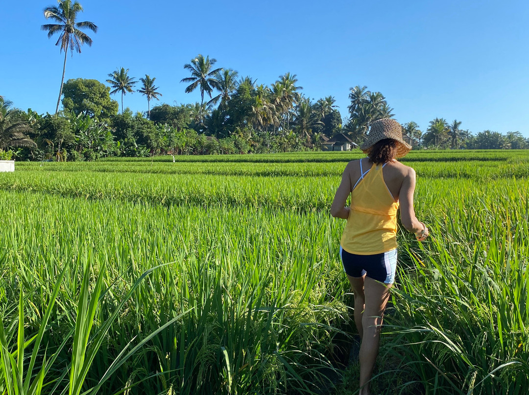 Be Bali Hut Farm Stay主图