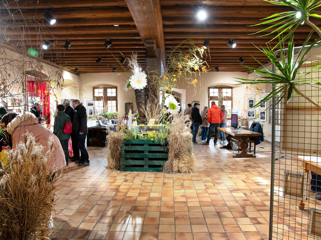 Hotel de Ville (Mairie)-图克汉必去景点