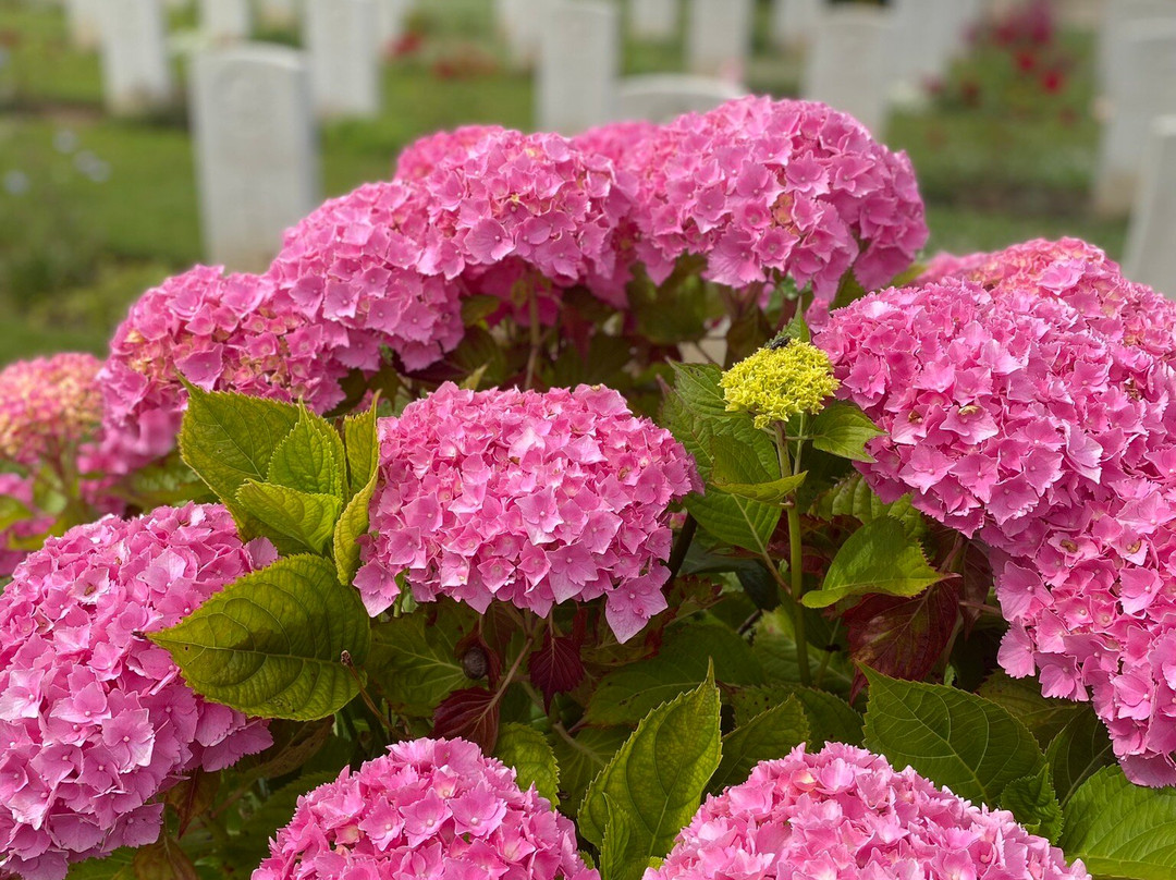 Beny-sur-Mer Canadian War Cemetery景点图片