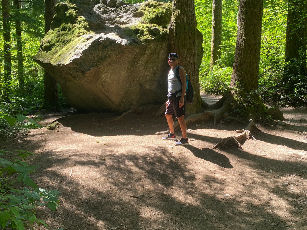 Rattlesnake Mountain Trail景点图片