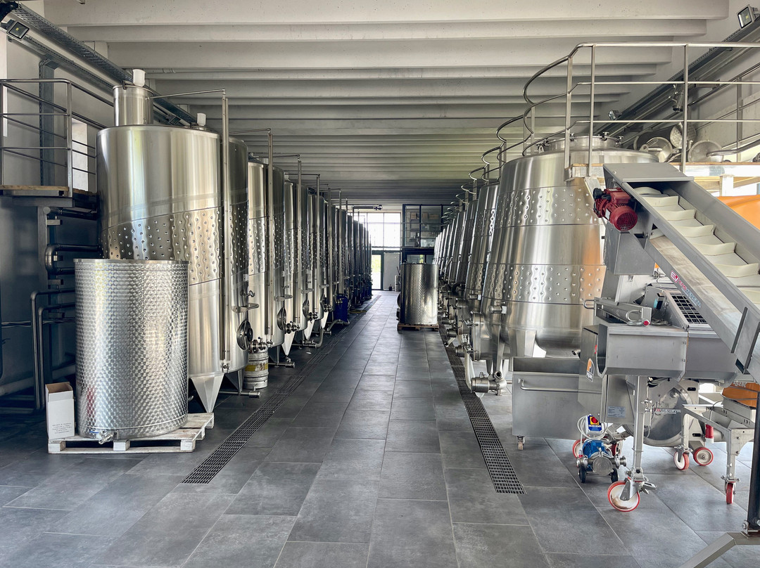 Poiana Winery-Ulmu必去景点