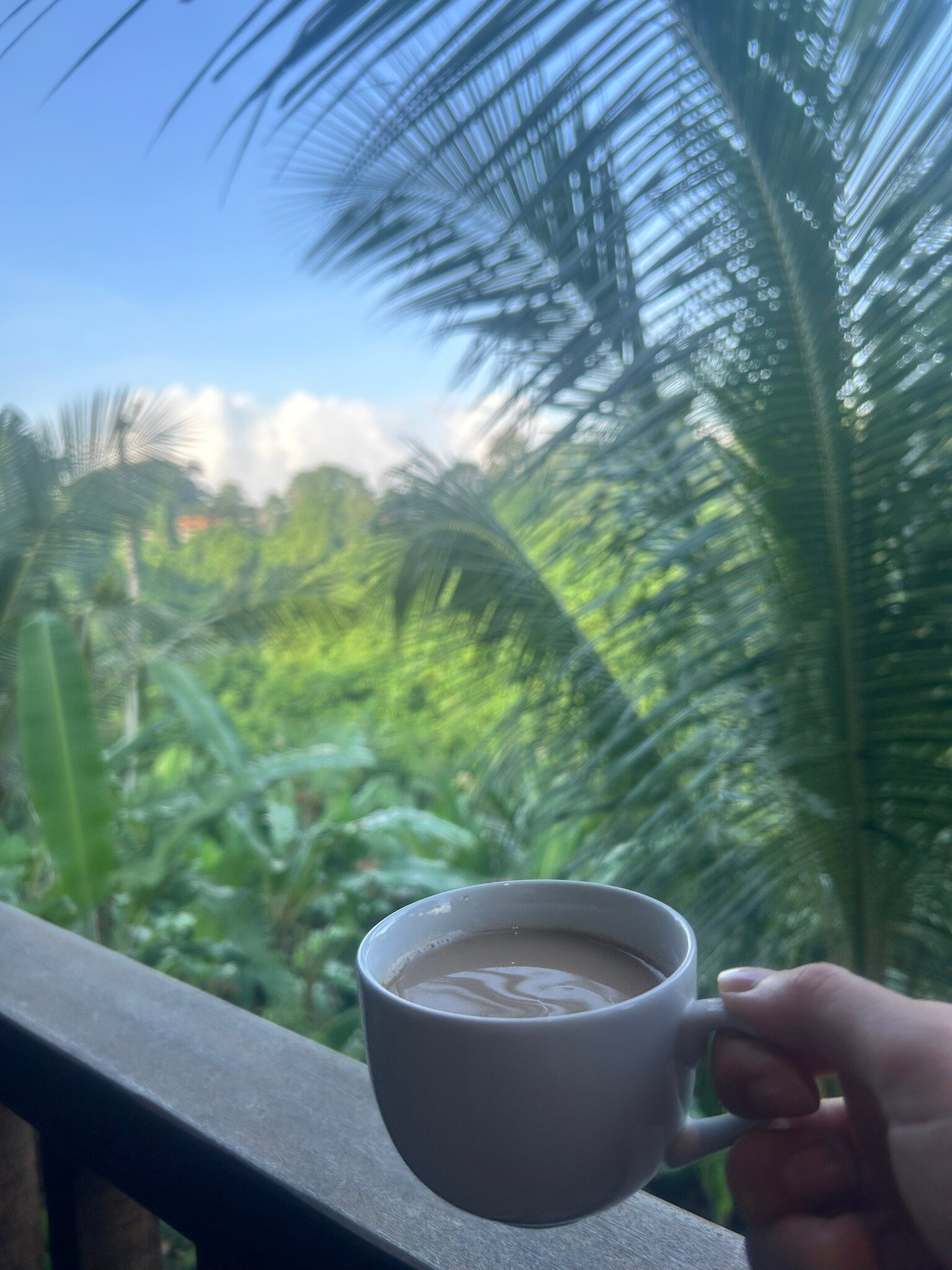Yanyan Resort Ubud-官方
