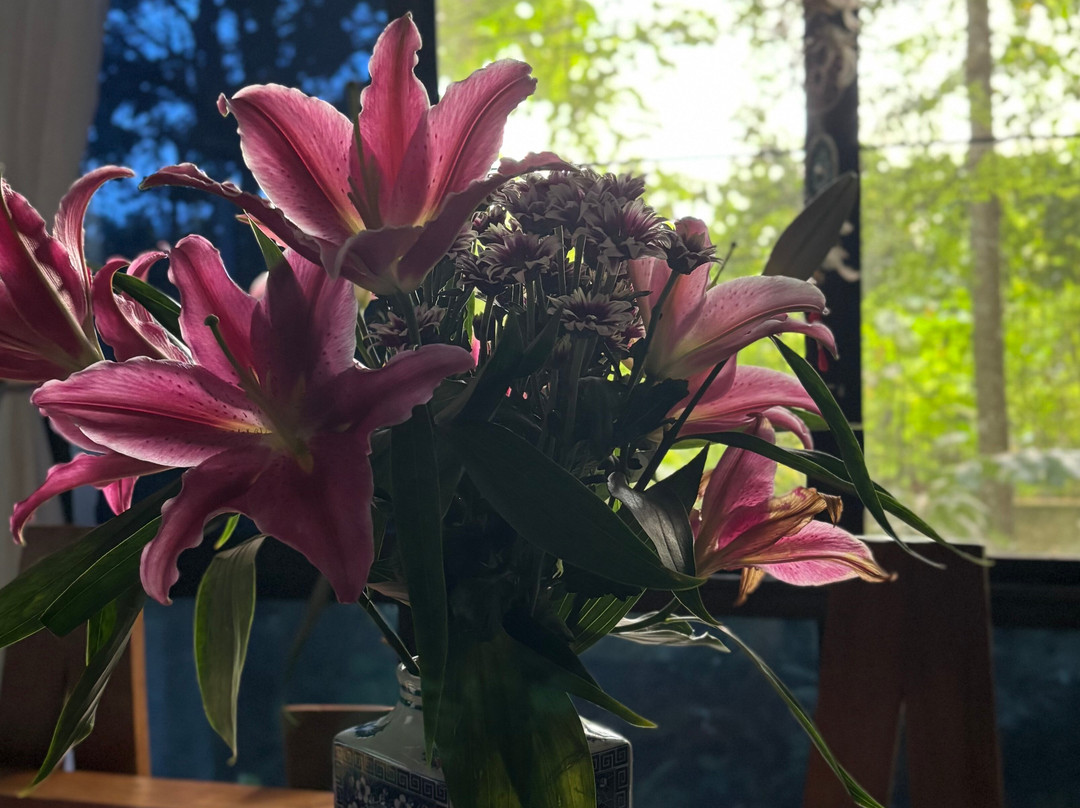 Emilia Batik House-安邦必去景点