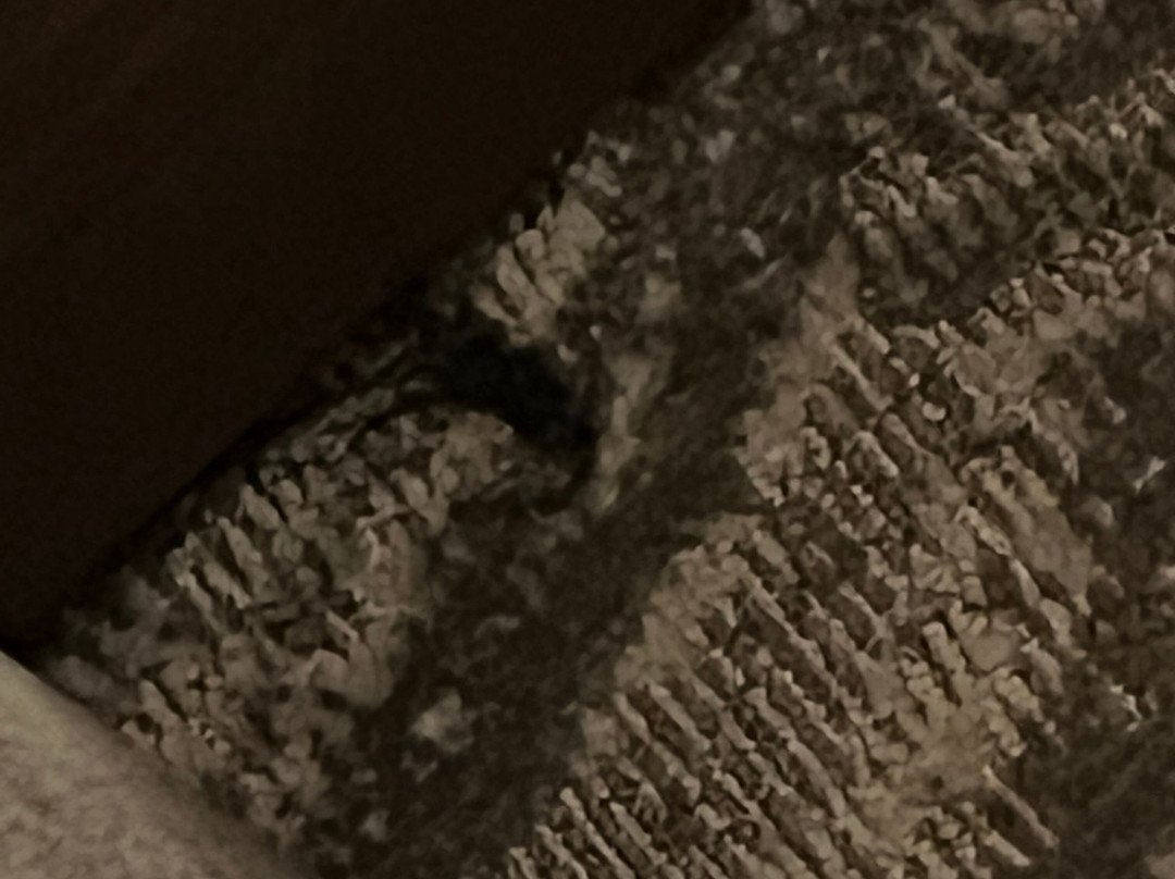 坎布里亚套房酒店主图