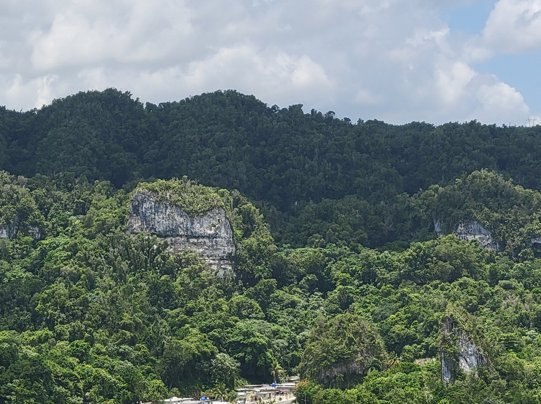 Juan Antonio Corretjer Park-Ciales必去景点