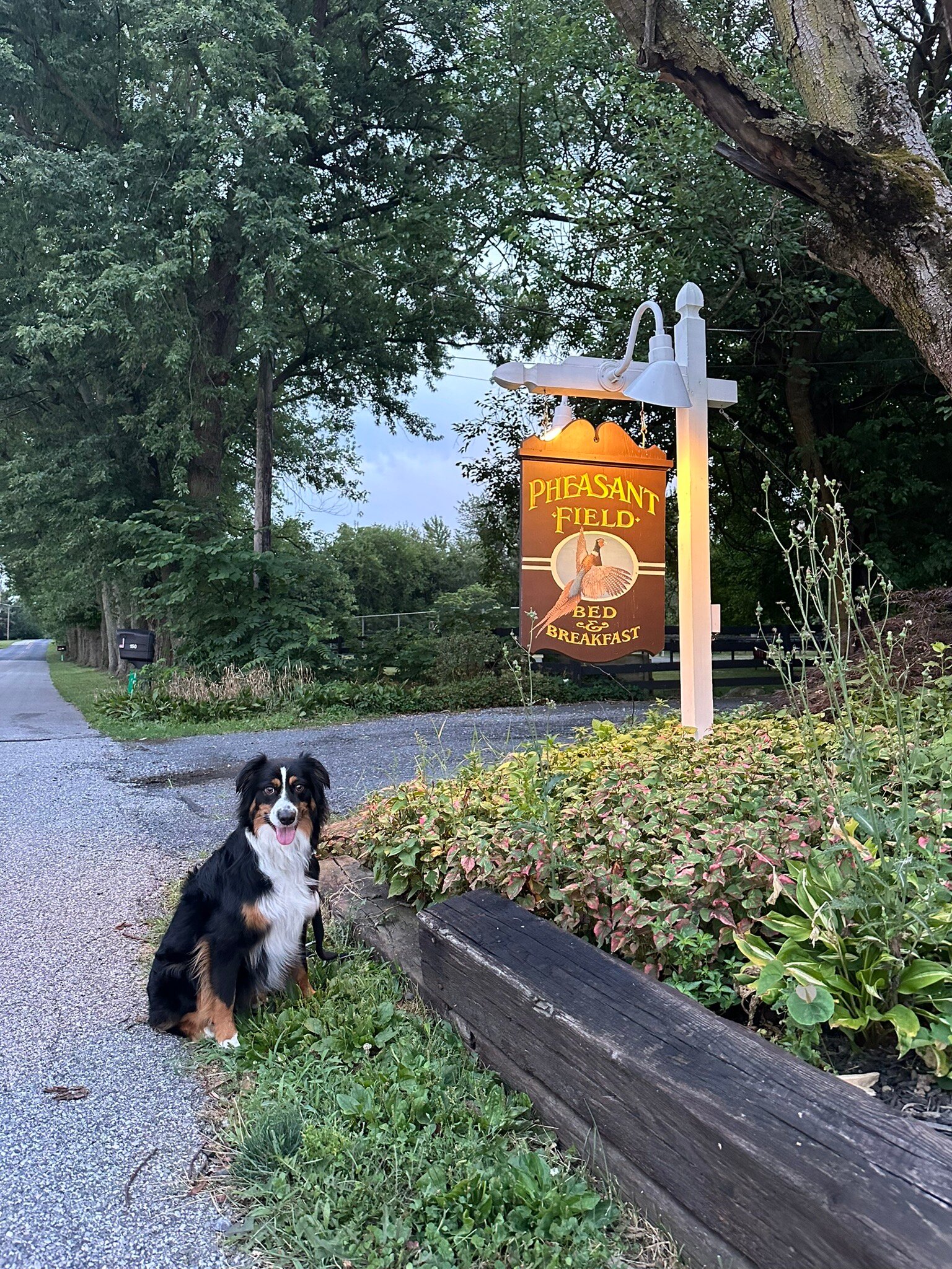 Pheasant Field Bed & Breakfast-官方