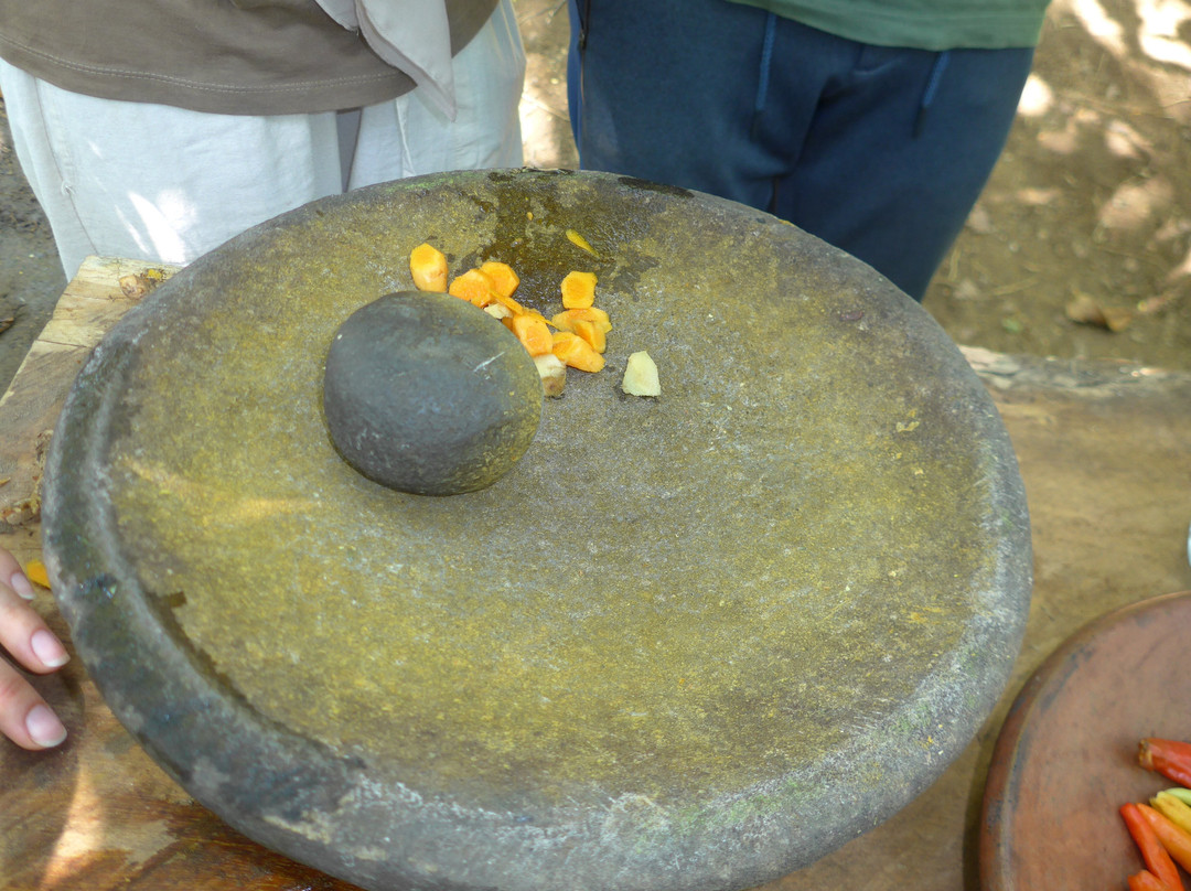 Lombok Forest Tour-Pemenang必去景点