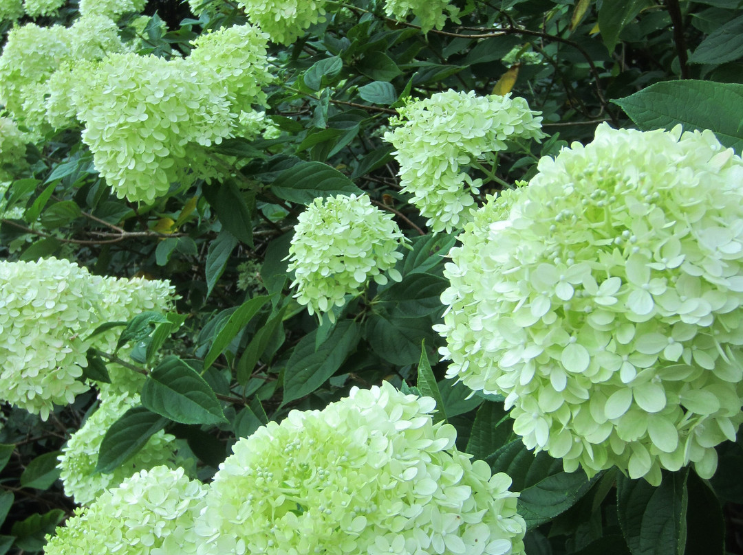 Stoneleigh: A Natural Garden-Villanova必去景点