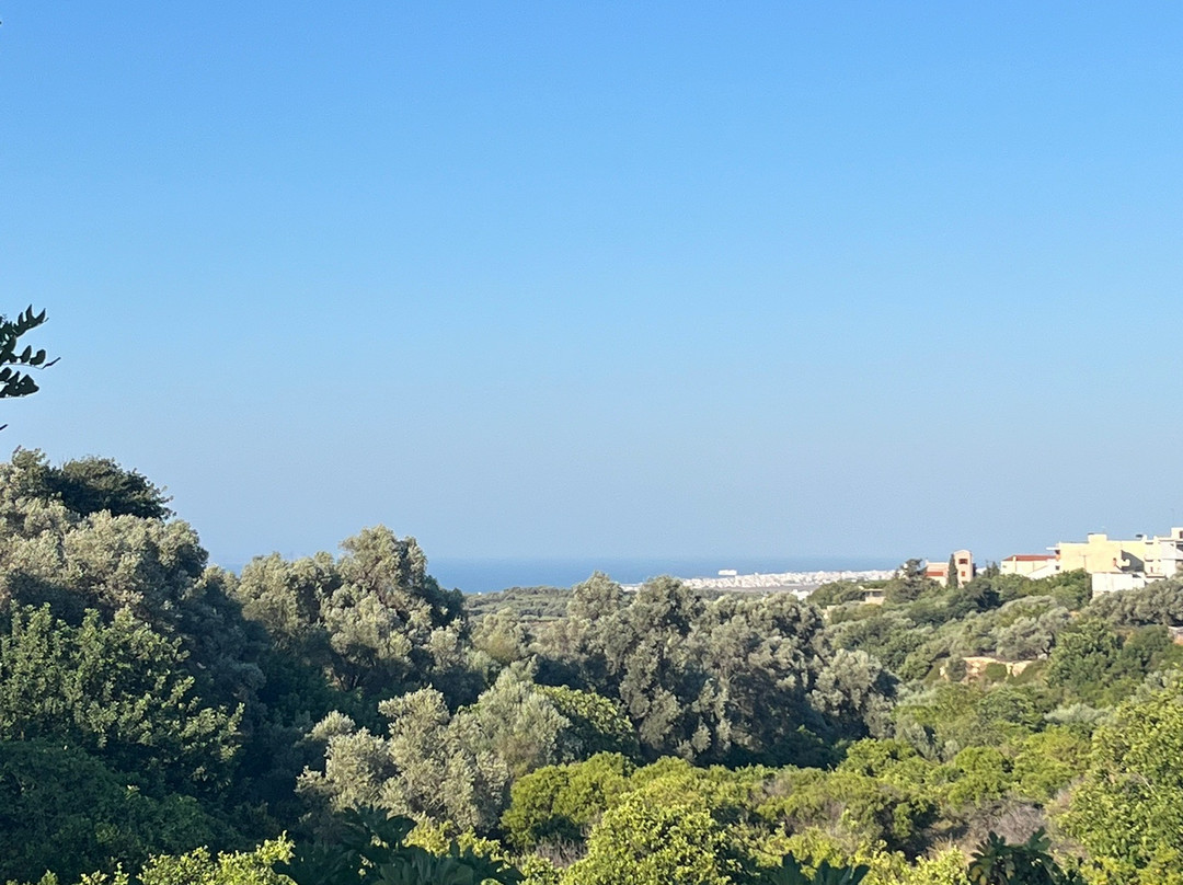 Tsigenis Beekeeping-Tylissos必去景点