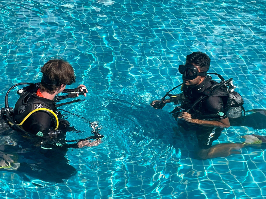 Crystal Diving Centre景点图片