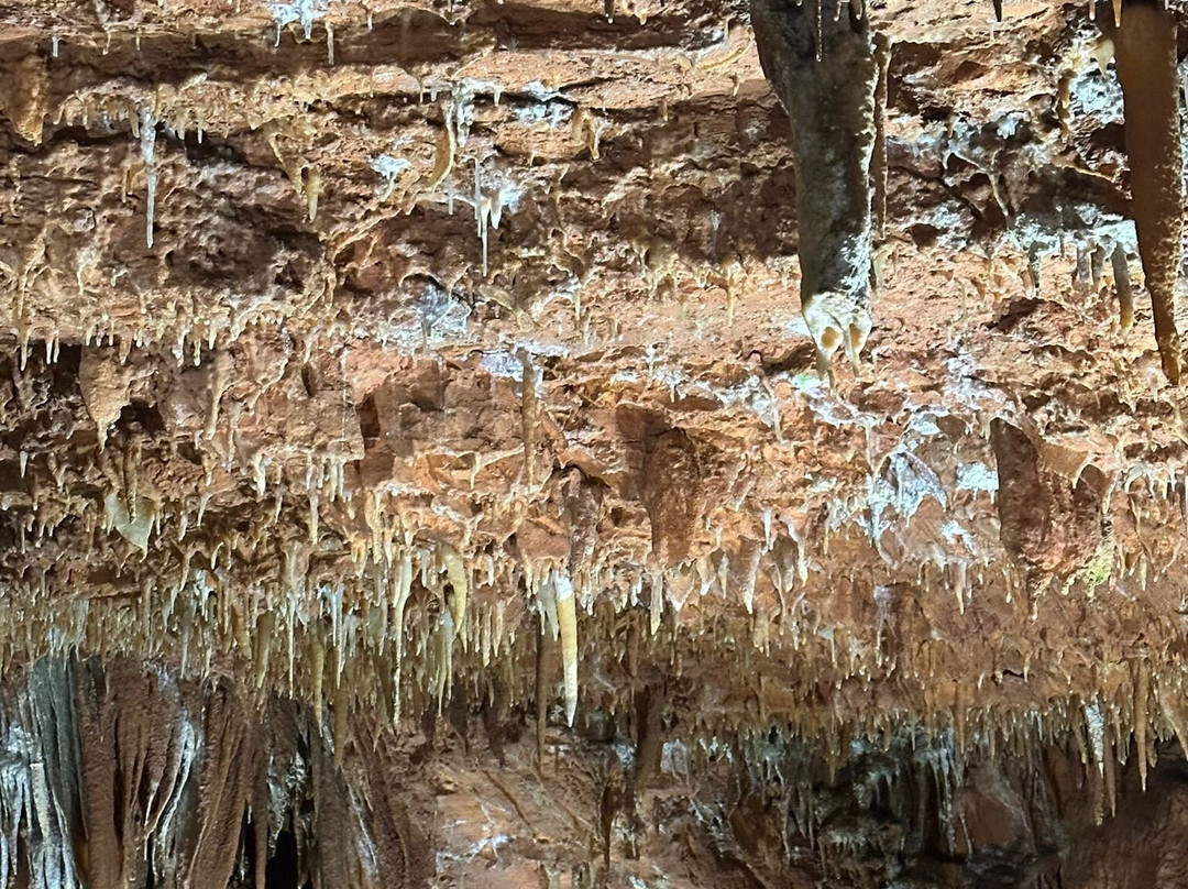 Baredin Cave-Nova Vas必去景点