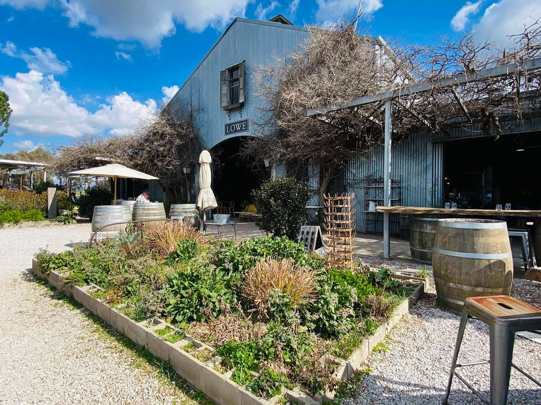 Lowe Wines-马奇必去景点