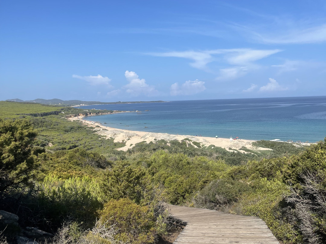 Lido Dog Beach-Aglientu必去景点