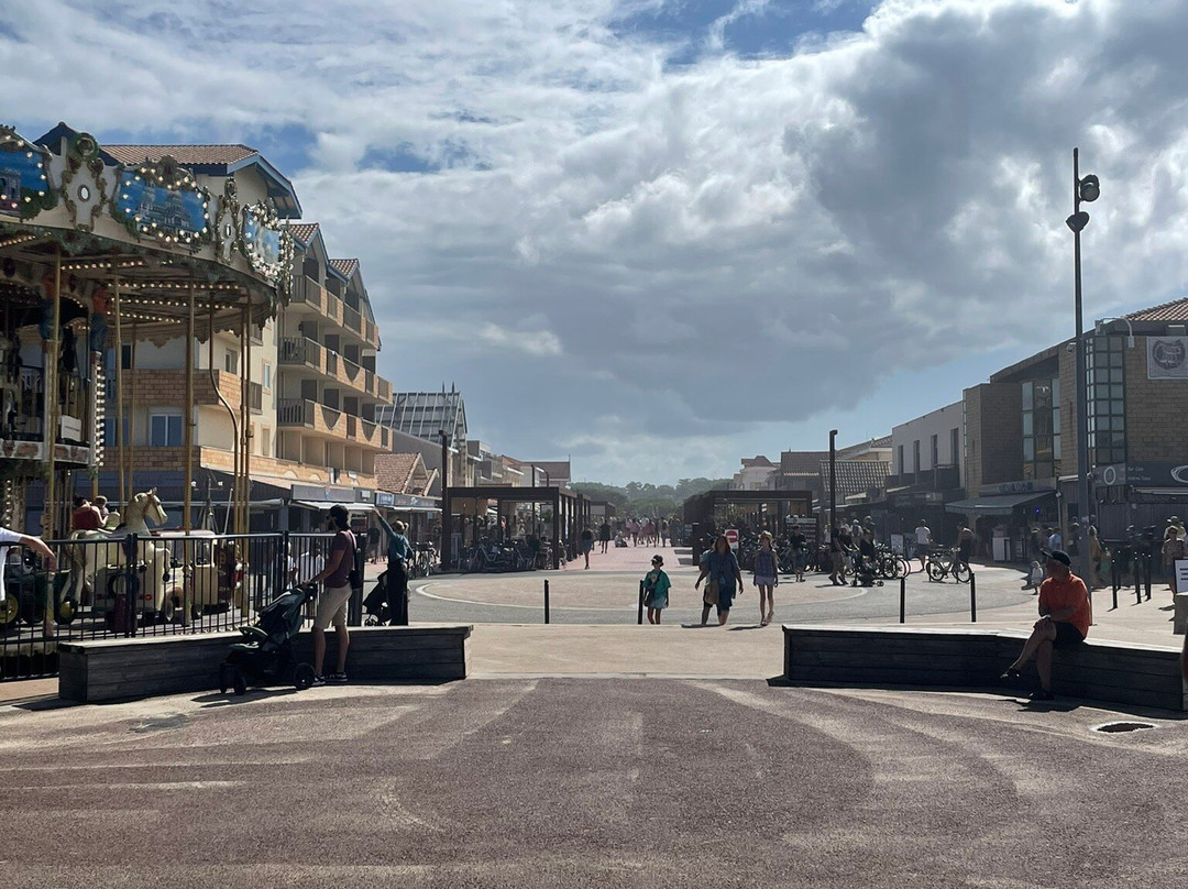 Les Plages de Lacanau景点图片