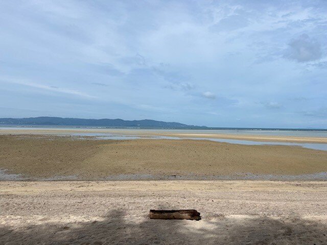 Papillon Bungalows-泳池