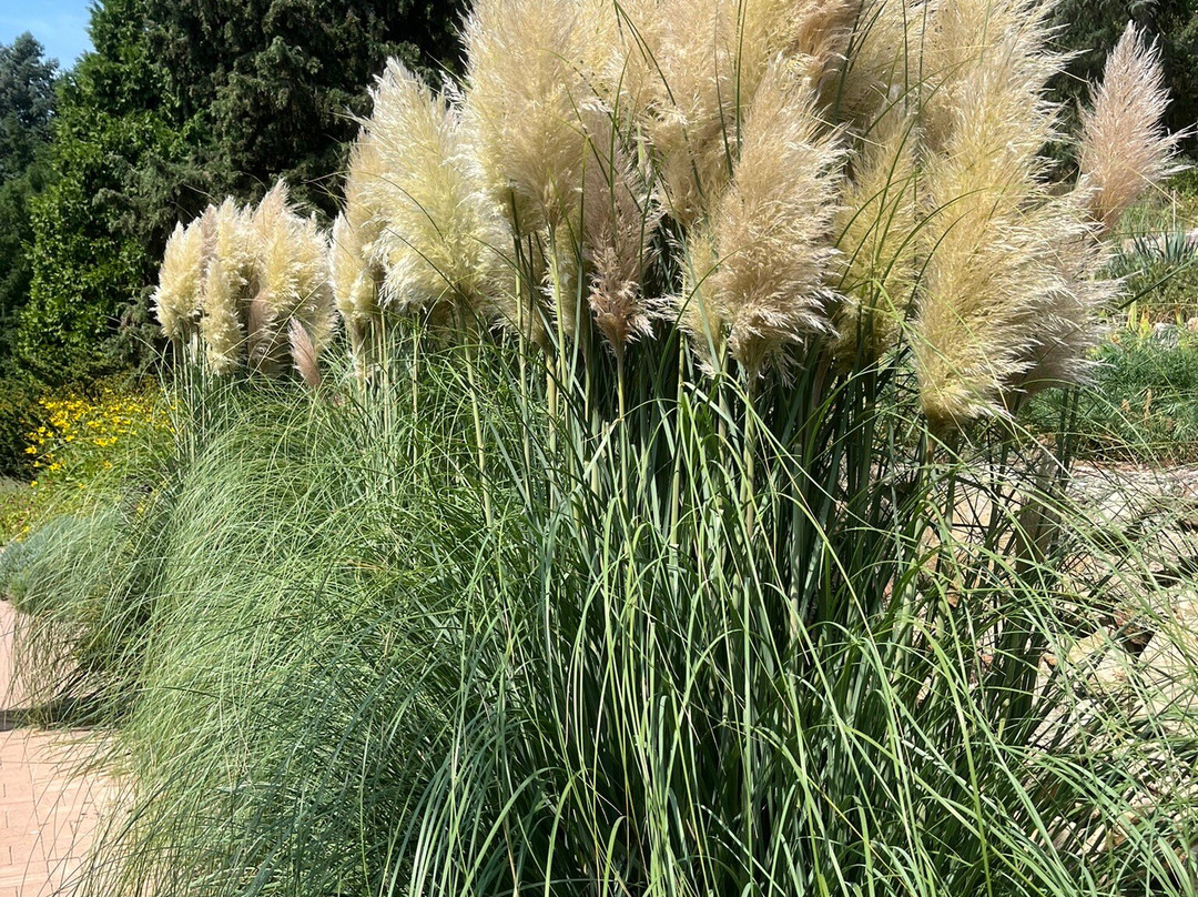 Folly Arboretum And Winery景点图片